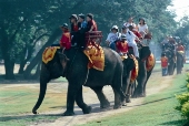 タイのシンボル・象さん