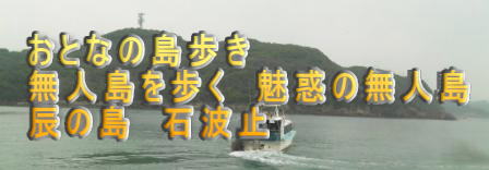 おとなの島歩き 無人島を歩く　魅惑の無人島 辰の島　石波止 